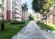 鹏兴花园（一期）-环境绿化