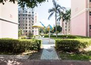 鹏兴花园（一期）-环境绿化