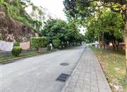 鹏兴花园（一期）-环境绿化