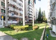 鹏兴花园（一期）-环境绿化