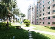 鹏兴花园（一期）-环境绿化