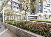 四季御园（新世界四季御园）-环境绿化