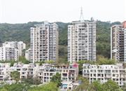 万科东海岸四期（达观居）-远景图