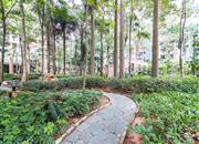 百仕达东郡-环境绿化