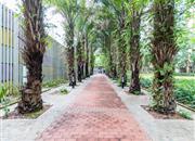 百仕达东郡-环境绿化