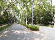 万科东海岸一期（赏湖居）-环境绿化