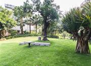 万科东海岸一期（赏湖居）-环境绿化