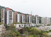 万科东海岸一期（赏湖居）-远景图