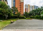 百合盛世（二期）-环境绿化