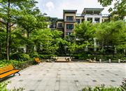 百合盛世（二期）-环境绿化