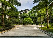 百合盛世（二期）-环境绿化