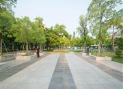 益田村-环境绿化