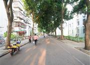 益田村-环境绿化