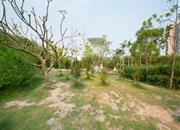 益田村-环境绿化