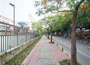 益田村-环境绿化