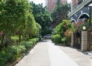 画意居-环境绿化