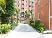 画意居-环境绿化