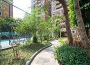 画意居-环境绿化