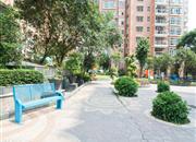 画意居-环境绿化