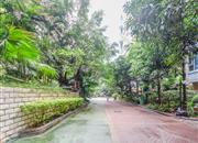 城市明珠花园（三期）-环境绿化