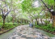 城市明珠花园（三期）-环境绿化