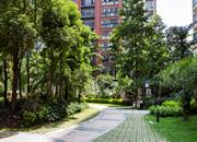 来座山（慢城四期）-环境绿化