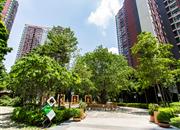 来座山（慢城四期）-环境绿化