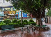 百花公寓（二期）-环境绿化