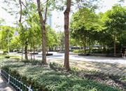 海富花园-环境绿化