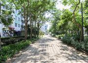 海富花园-环境绿化