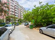 碧湖花园(龙岗)-环境绿化