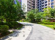 承翰陶源-环境绿化