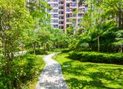 承翰陶源-环境绿化