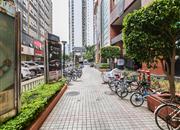 金丽豪苑-环境绿化