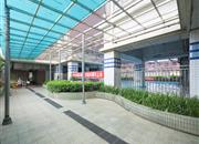 彩天名苑-环境绿化