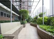 彩天名苑-环境绿化