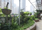 彩天名苑-环境绿化