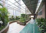 彩天名苑-环境绿化