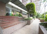 彩天名苑-环境绿化