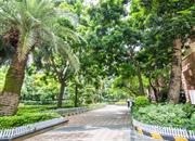 佳兆业可园（七期）-环境绿化