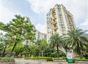 佳兆业可园（七期）-环境绿化