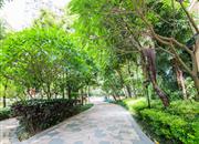 佳兆业可园（七期）-环境绿化