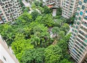 信义荔山公馆（景和园）-俯瞰图