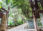 信义假日名城(五期A逸翠园)-环境绿化