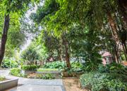 信义假日名城(五期A逸翠园)-环境绿化