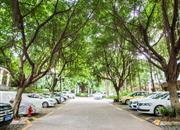 信义假日名城(五期A逸翠园)-环境绿化