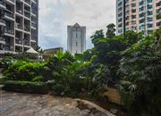 风格名苑-环境绿化