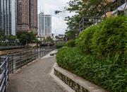 嘉宾花园-环境绿化