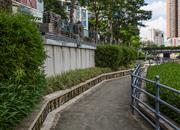 嘉宾花园-环境绿化