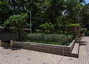 聚龙大厦-环境绿化